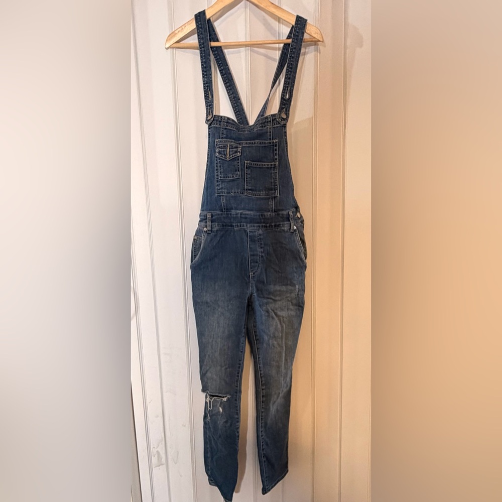 Free People Blue Denim Overalls